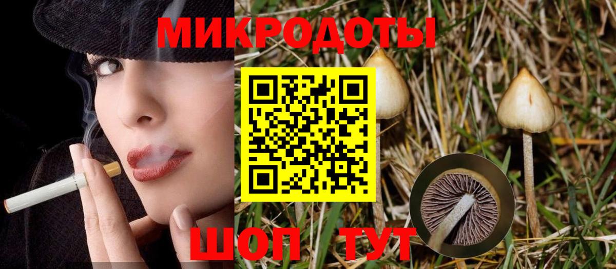 Псилоцибиновые грибы Psilocybe Клинцы