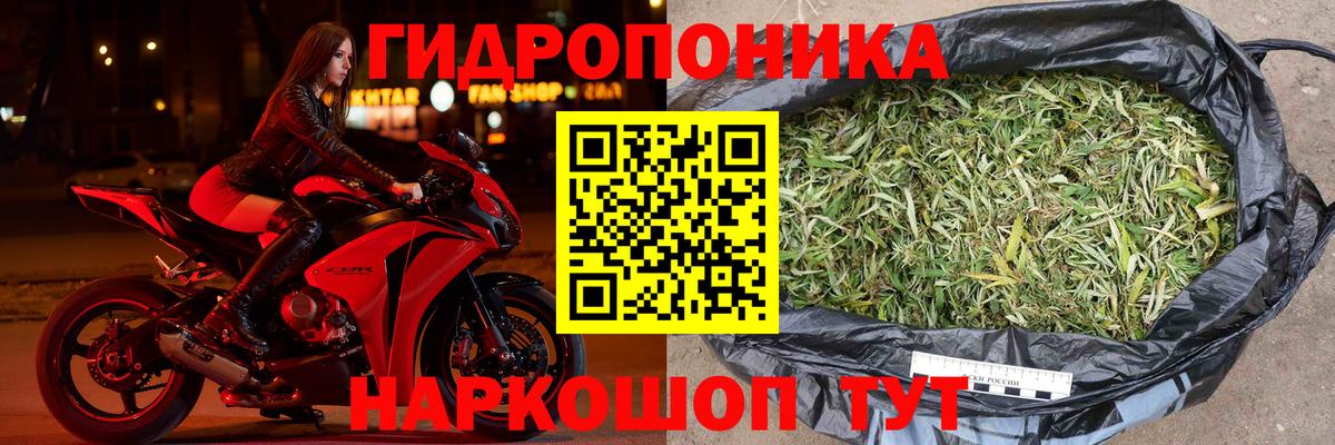 Шишки марихуана планчик Клинцы